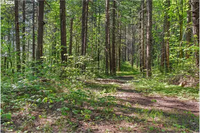 Hwy 141, BZ Corner, WA 98672 - Photo 9