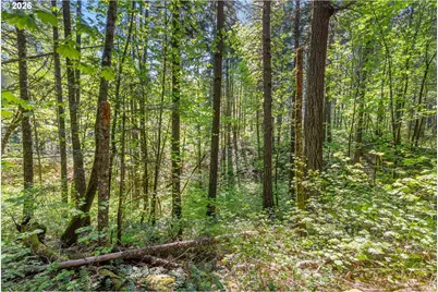 Hwy 141, BZ Corner, WA 98672 - Photo 17