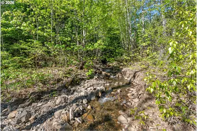 Hwy 141, BZ Corner, WA 98672 - Photo 13