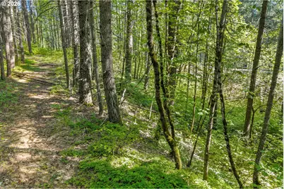 Hwy 141, BZ Corner, WA 98672 - Photo 7