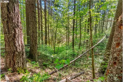 Hwy 141, BZ Corner, WA 98672 - Photo 19