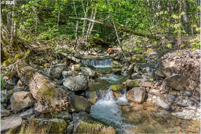 Hwy 141, BZ Corner, WA 98672 - Photo 11