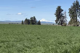 145 Hill Rd, Goldendale, WA 98620 - Photo 37