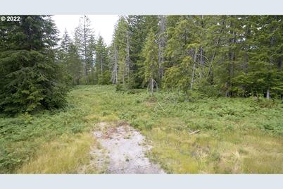 1 Lahar Ln, Cougar, WA 98616 - Photo 1