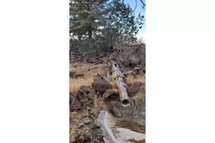 18990 SE Doubtful Dirt Rd, Prineville, OR 97754 - Photo 17