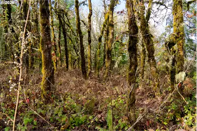 0 Mistletoe Dr, Dallas, OR 97338 - Photo 3