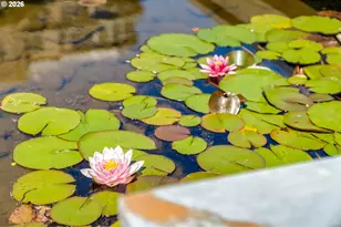 1150 NW Quimby St, Portland, OR 97209 - Photo 47