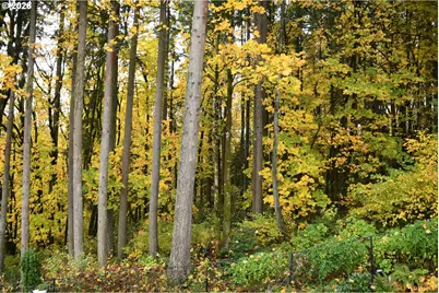 13070 SW Woodshire Ln, Tigard, OR 97223 - Photo 29