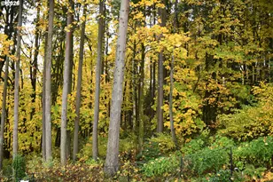 13070 SW Woodshire Ln, Tigard, OR 97223 - Photo 29