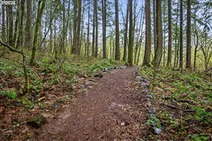 13070 SW Woodshire Ln, Tigard, OR 97223 - Photo 39