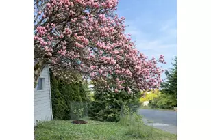 815 NW Merrie Dr, Corvallis, OR 97330 - Photo 45