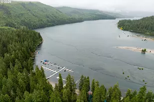 141 Northoowds Cabin, Cougar, WA 98616 - Photo 31