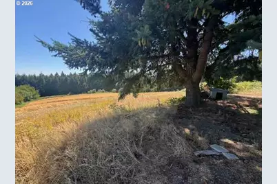 14270 SW Meeker Ter, Hillsboro, OR 97123 - Photo 7