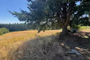 14270 SW Meeker Terrace, Hillsboro, OR 97123 - Photo 7