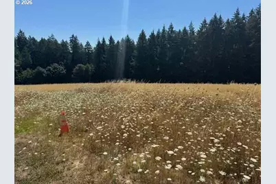 14270 SW Meeker Ter, Hillsboro, OR 97123 - Photo 15