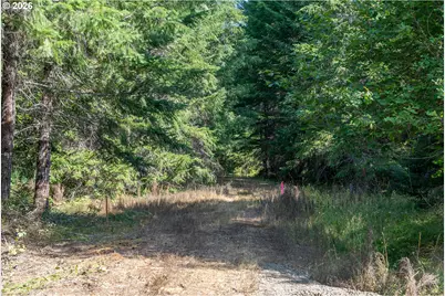 Hawk Meadows Rd #3, Carson, WA 98610 - Photo 1