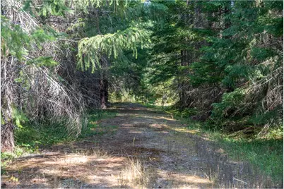 Hawk Meadows Rd #3, Carson, WA 98610 - Photo 33