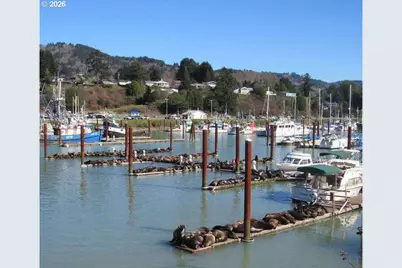 16319 Lower Harbor Rd, Brookings, OR 97415 - Photo 17