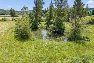 308 Helweg Rd, Winston, OR 97496 - Photo 47