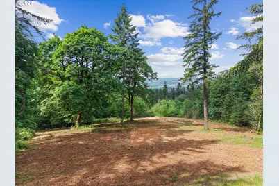 18755 NE Buena Vista Dr, Dundee, OR 97115 - Photo 1