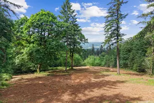 18755 NE Buena Vista Dr, Dundee, OR 97115 - Photo 1