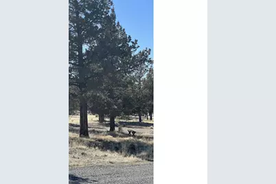 69380 Buckhorn Rd, Redmond, OR 97756 - Photo 9