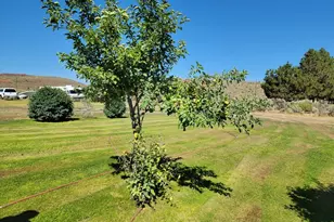 29388 Wrecking Yard Ln, Hines, OR 97738 - Photo 27