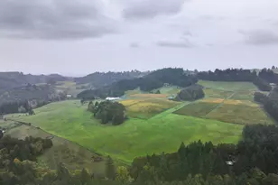 7820 SE Amity Rd, Amity, OR 97101 - Photo 47