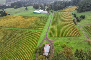 7820 SE Amity Rd, Amity, OR 97101 - Photo 43