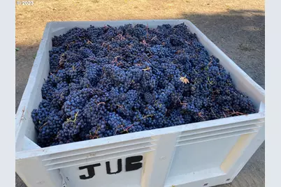 7820 SE Amity Rd, Amity, OR 97101 - Photo 11