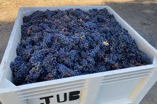 7820 SE Amity Rd, Amity, OR 97101 - Photo 11