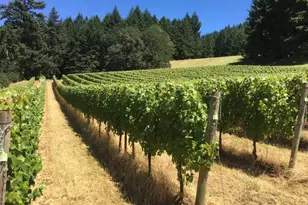 7820 SE Amity Rd, Amity, OR 97101 - Photo 5