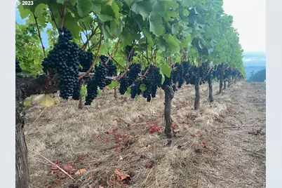 7820 SE Amity Rd, Amity, OR 97101 - Photo 9