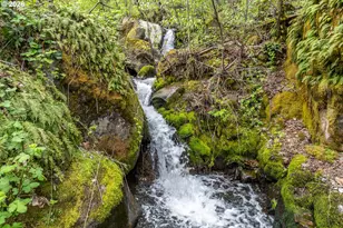 47742 State Hwy 14, Stevenson, WA 98648 - Photo 5