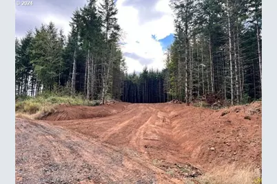 Pellham Hill-Crazy C Rd, Rainier, OR 97048 - Photo 1