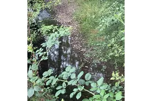 200 Madison St, Ryderwood, WA 98581 - Photo 13