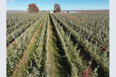 4665 Sheffield Rd, Mesa, WA 99343 - Photo 3