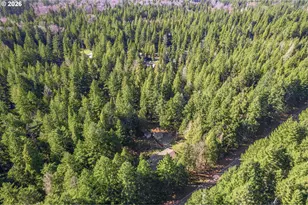 91638 Horse Creek Rd, McKenzie Bridge, OR 97413 - Photo 43