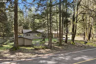 91638 Horse Creek Rd, McKenzie Bridge, OR 97413 - Photo 47