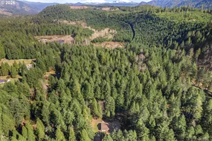 91638 Horse Creek Rd, McKenzie Bridge, OR 97413 - Photo 45