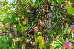 2915 NE Fremont Dr, Portland, OR 97220 - Photo 21