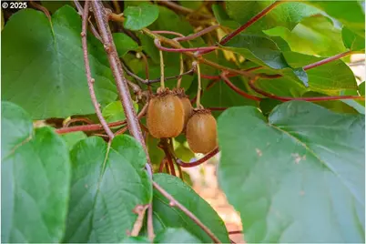 2915 NE Fremont Dr, Portland, OR 97220 - Photo 19