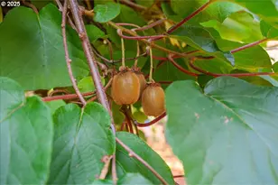 2915 NE Fremont Dr, Portland, OR 97220 - Photo 19