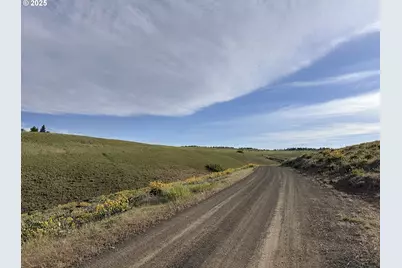 Schilling Rd #Lot 2, Lyle, WA 98635 - Photo 11