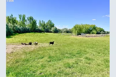 75727 Depot Ln, Irrigon, OR 97844 - Photo 7