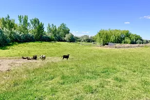 75727 Depot Ln, Irrigon, OR 97844 - Photo 7