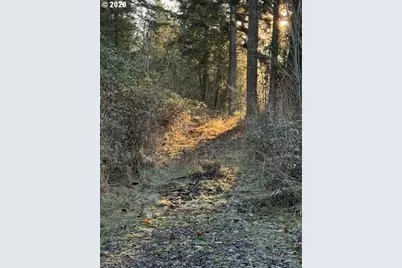 107 Legacy Dr, Woodland, WA 98674 - Photo 1