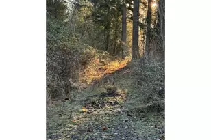 107 Legacy Dr, Woodland, WA 98674 - Photo 1