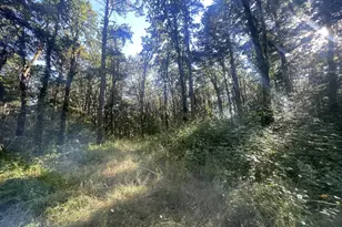 27181 SW Frys Ln, Sheridan, OR 97378 - Photo 33