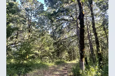 27181 SW Frys Ln, Sheridan, OR 97378 - Photo 37